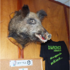 DSCF1424.jpg
