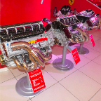 DSCF7815.jpg