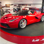 DSCF7874.jpg