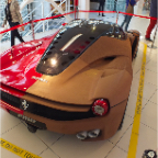 DSCF7905.jpg