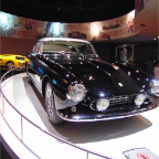 DSC00506.jpg