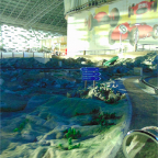 DSC00546.jpg